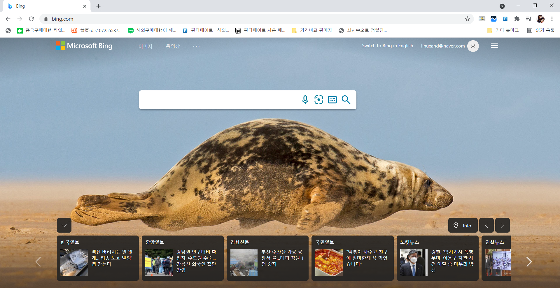  티스토리 블로그 구글 seo 최적화 bing 검색등록 활용