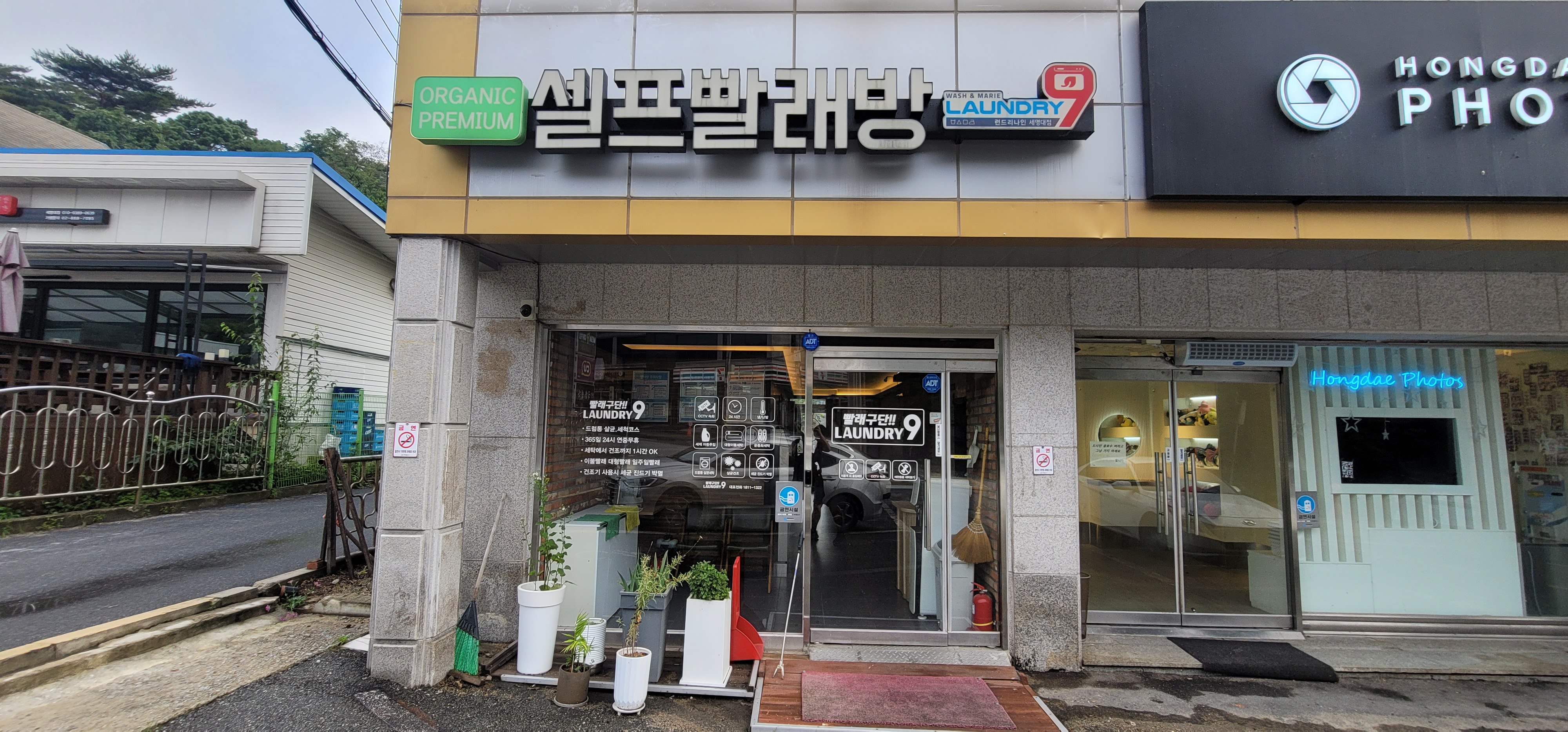 새명 이미지