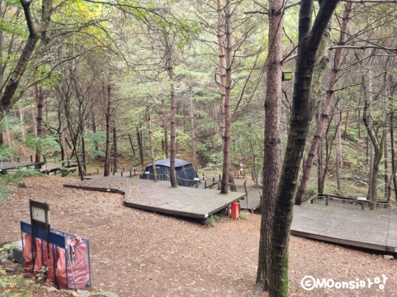 하늘그린캠프, 숲속의 6