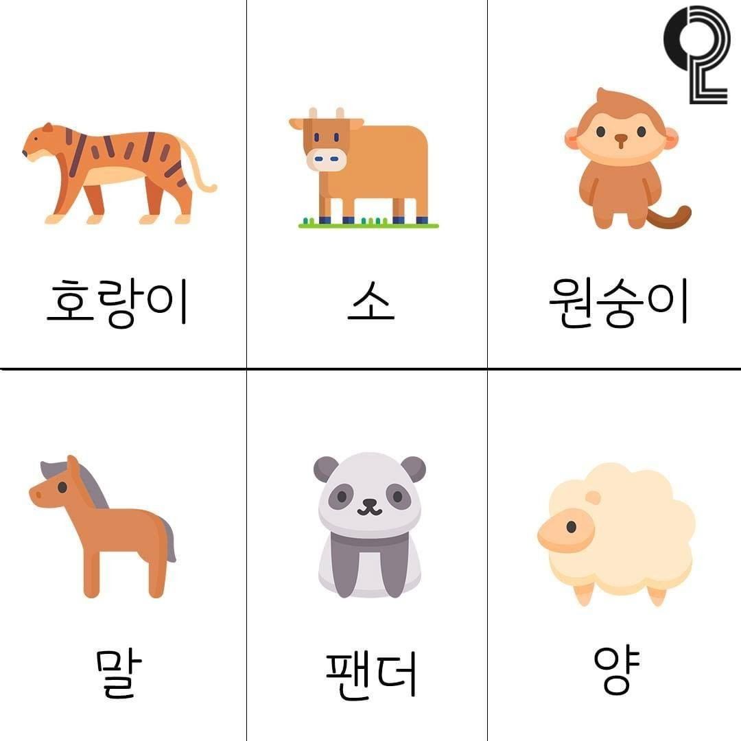 동물로 알아보는 내 스트레스 원인을 분석하는 심리테스트 동물로 알아보는 내 스트레스 원인을 분석하는 심리테스트