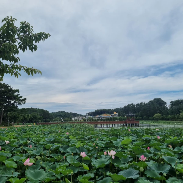 울진-연호공원