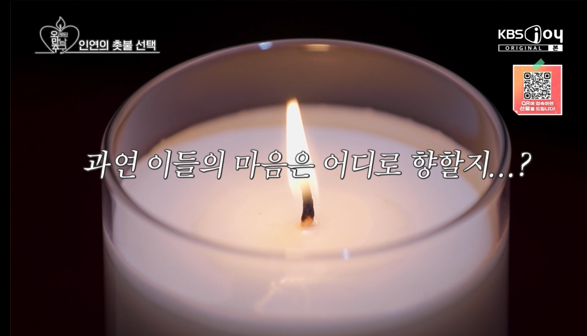 연예인판 나는솔로 같다는 연프 | 인스티즈