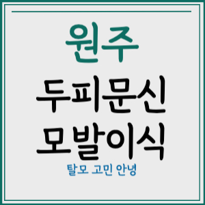 원주시 두피문신 모발이식