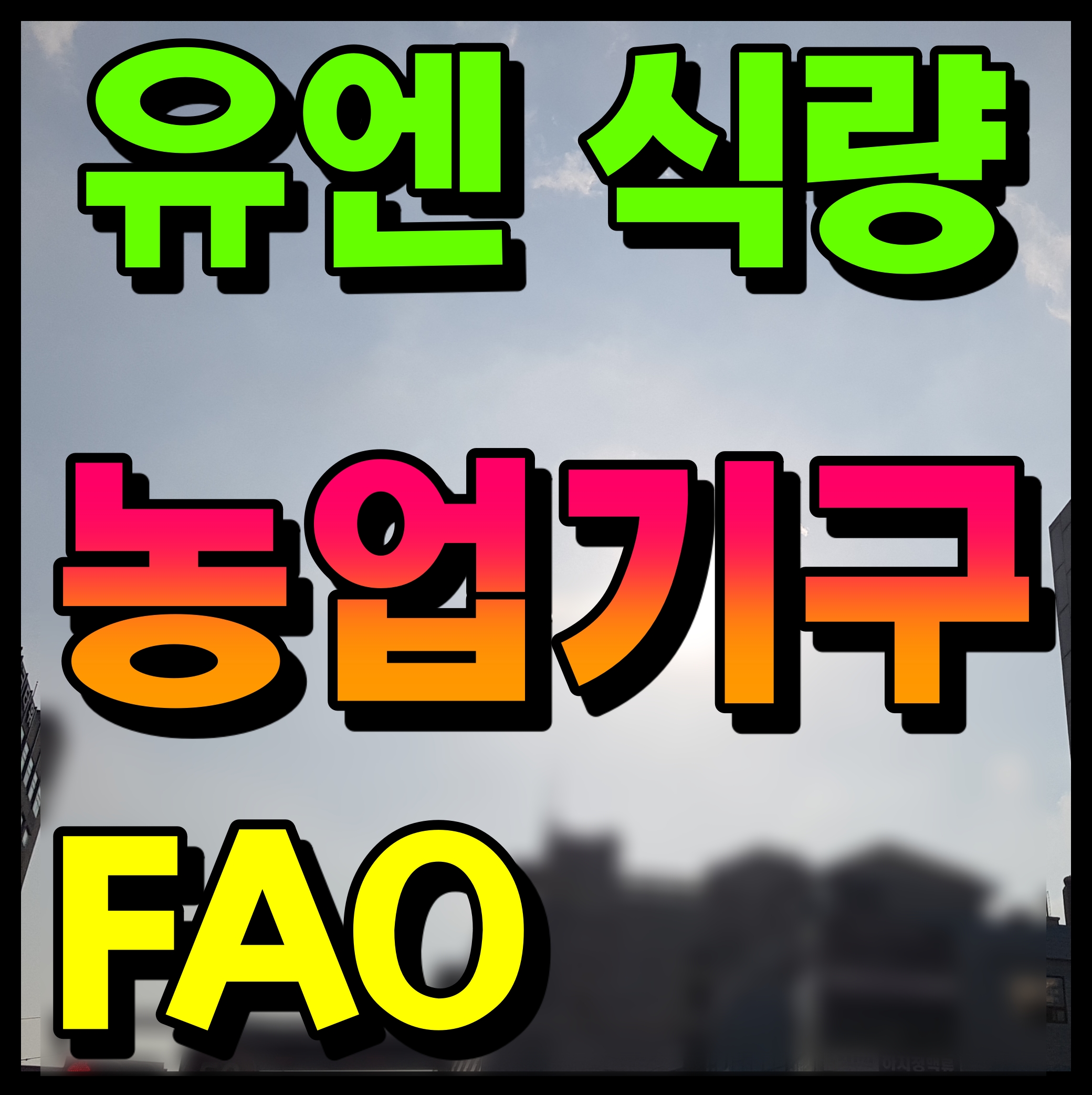  FAO  유엔 식량농업기구 세계 식량가격 지수 상승 내년에는 더 오른다