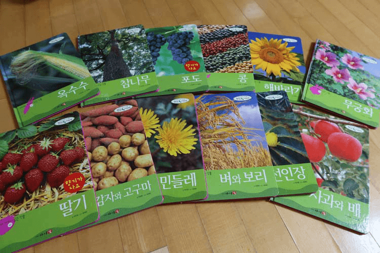 다섯번째 섹션책들사진