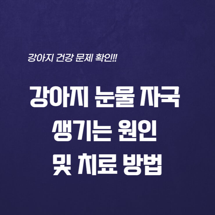  강아지 눈물 자국 생기는 원인 및 치료 방법