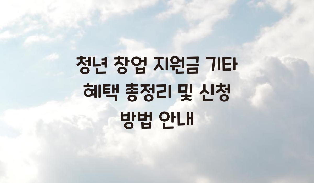 청년 창업 지원금 기타 혜택