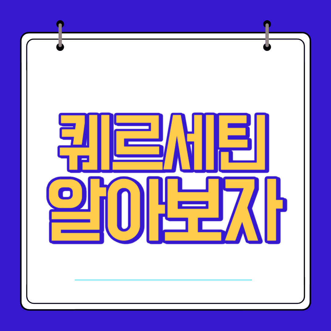  퀘르세틴 효능 부작용 알고 섭취하자