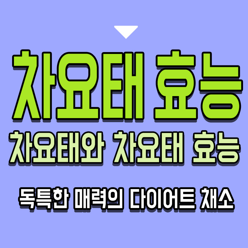 타이틀-차요태와-차요태-효능-독특한-매력의-다이어트-채소