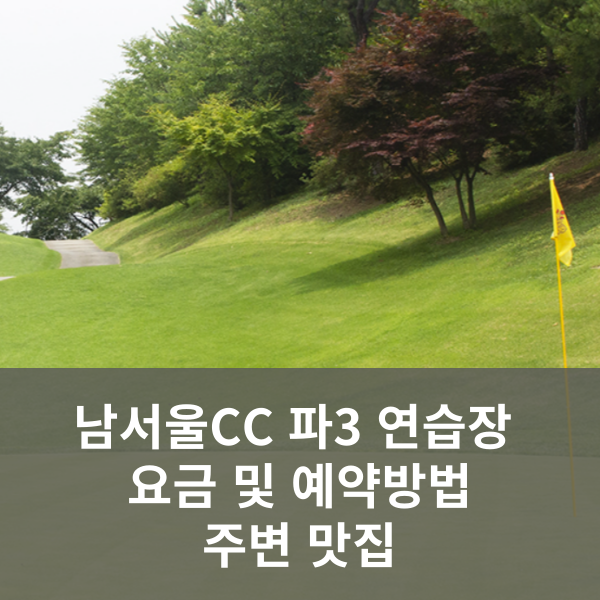 남서울 CC 파3 연습장