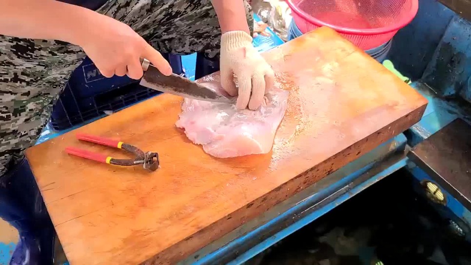 한진포구 선상횟집 당진여행 코스 20