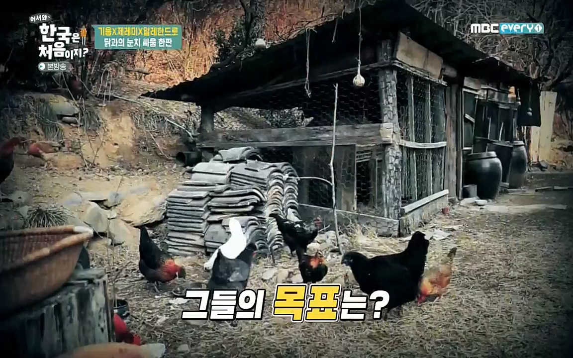 어서와 한국은 처음이지 시즌2.E202.220318p-NEXT.mp4_20220318_175134.354.jpg