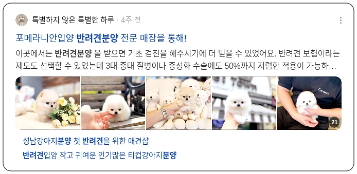 반려견 분양_3_subsection