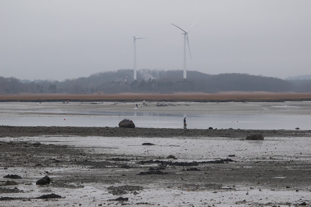 Mudflat