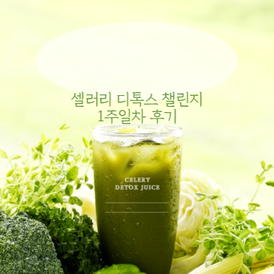  셀러리 디톡스 챌린지 1주일차 몸의변화