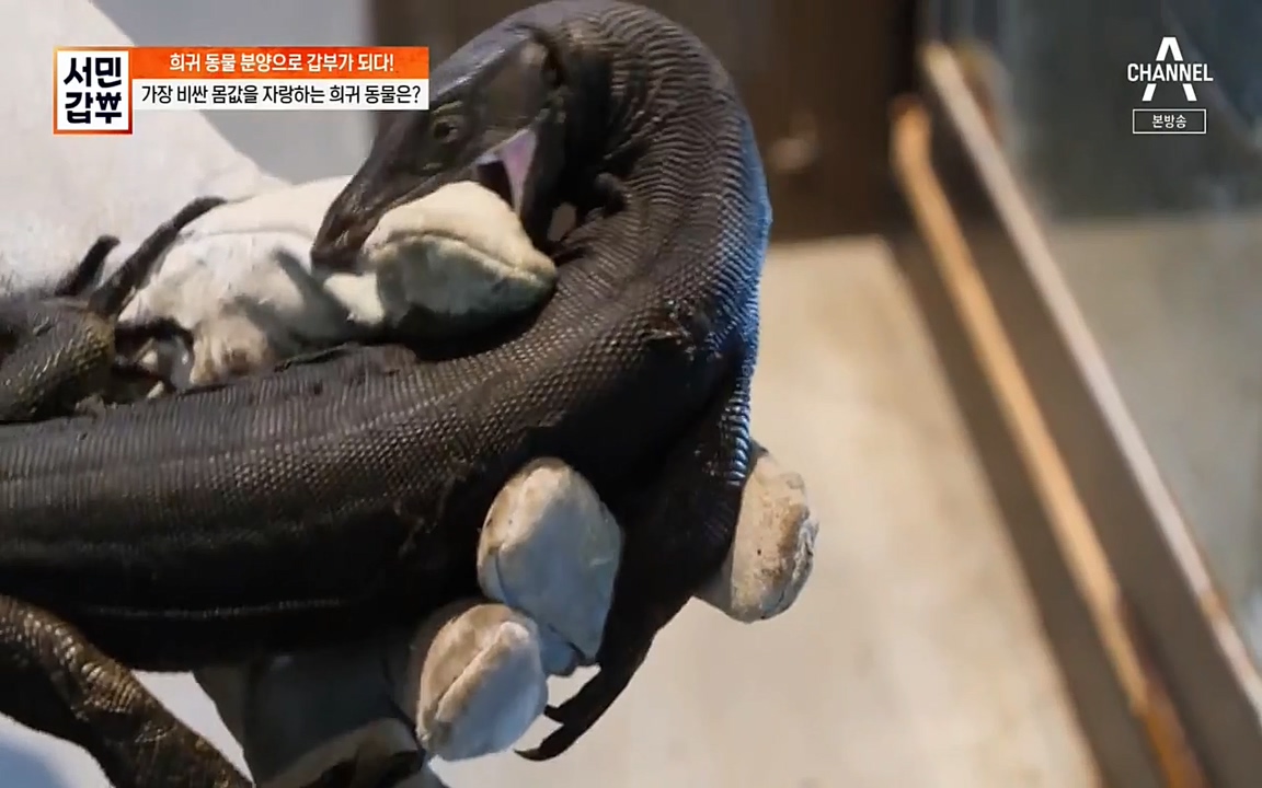 서민 갑부.E381.220431p-NEXT.mp4_20220501_174440.350.jpg