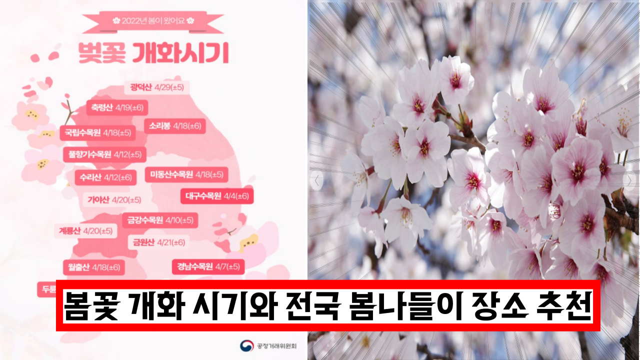  2022년 봄꽃 개화시기, 전국 봄나들이 장소 추천