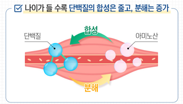 단백질 음료