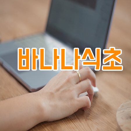  바나나식초 다이어트 효능 및 방법