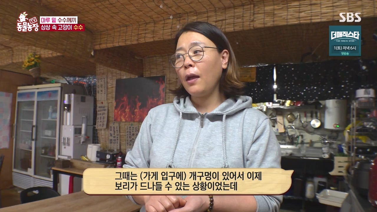 TV 동물농장.E1173.240527p-NEXT.mp4_20240526_155715.573.jpg