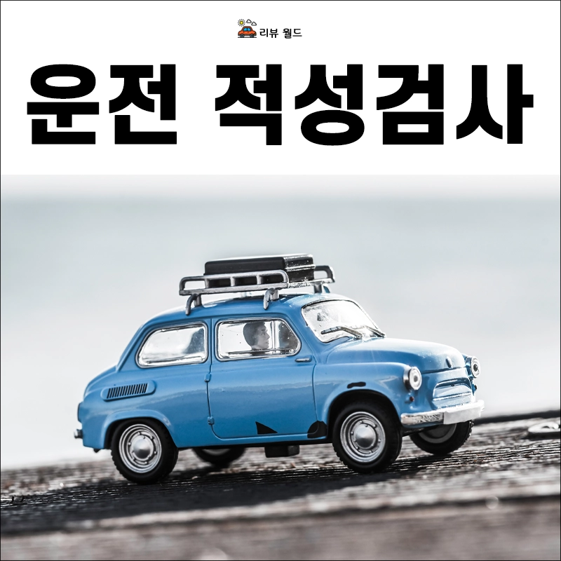 운전면허-적성검사