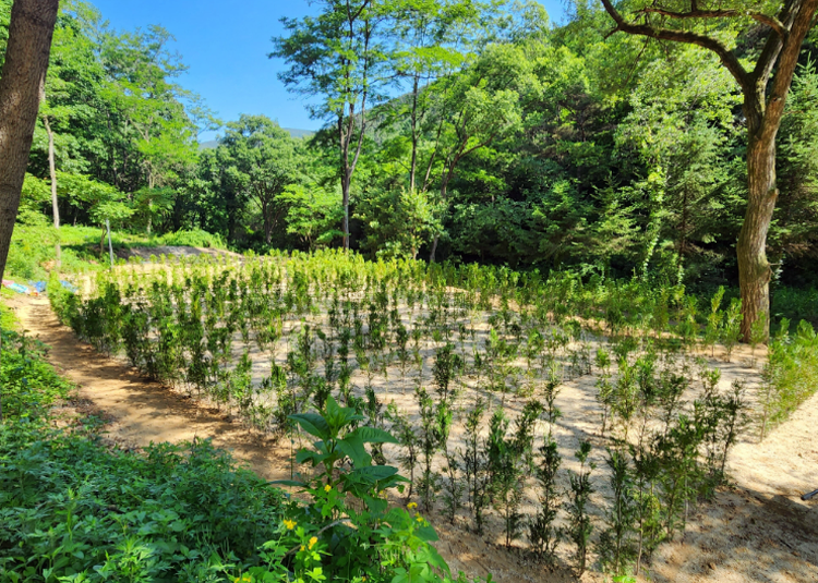 속리산 말티재 자연휴양림