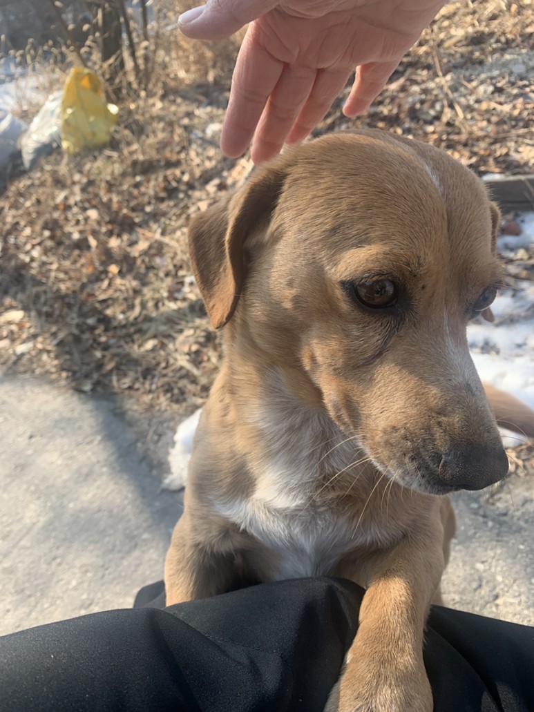 10도 혹한기 동계 캠핑, 사이트 정보 포천 캠핑플래닛 B30번, 난로 대여, 영하 34