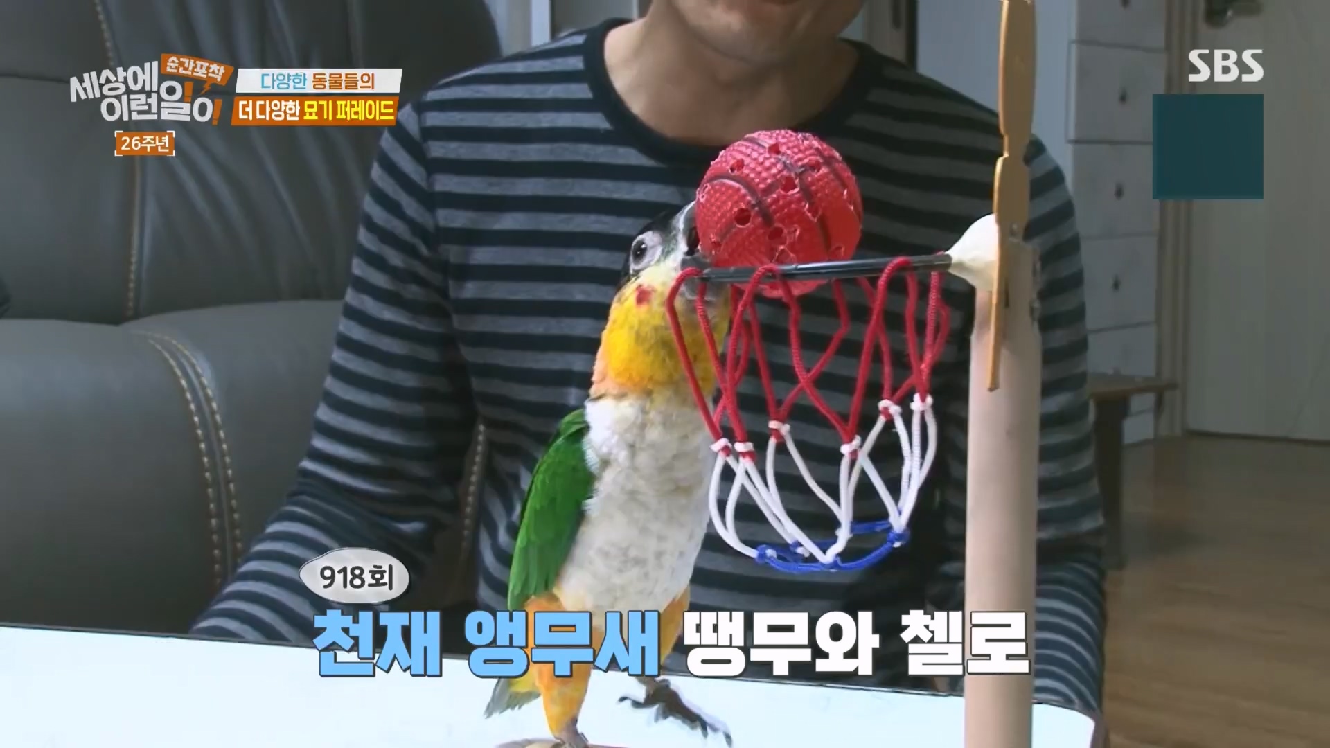 순간포착 세상에 이런일이.최종.E1279.240525p.H264-F1RST.mp4_20240526_150028.252.jpg