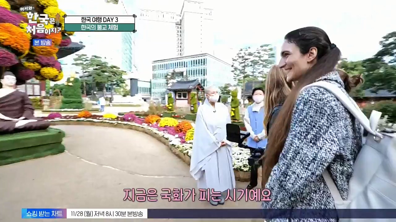 어서와 한국은 처음이지 시즌2.E238.221125p-NEXT.mp4_20221126_191516.821.jpg
