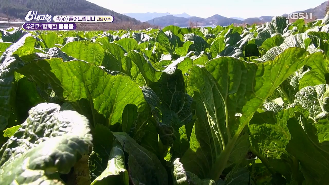 6시 내고향.E7748.230321p.H264-F1RST.mp4_20230321_202118.523.jpg