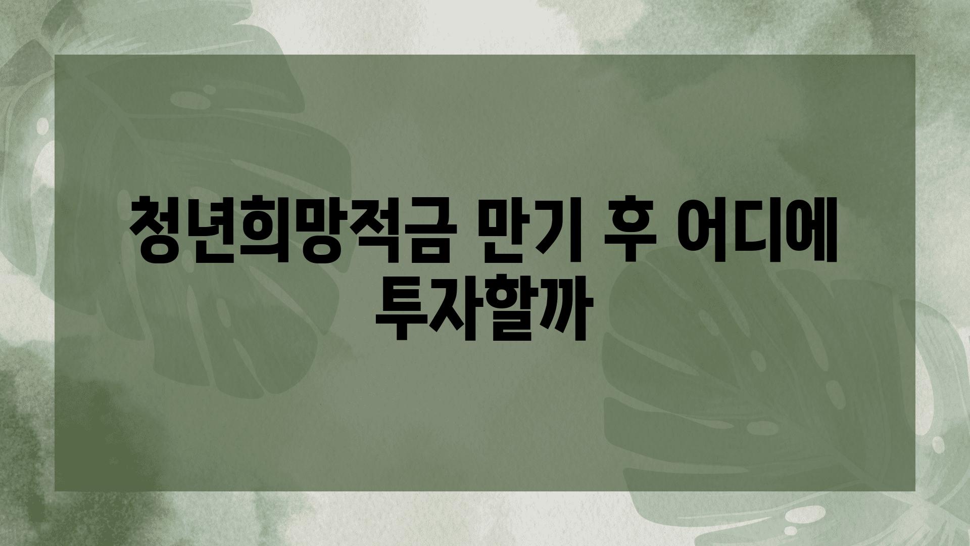 청년희망적금 만기 후 어디에 투자할까