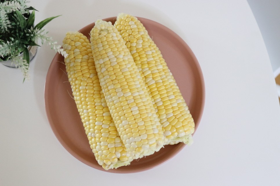 초당 옥수수 보관 냉동 냉장 2가지 방법 4