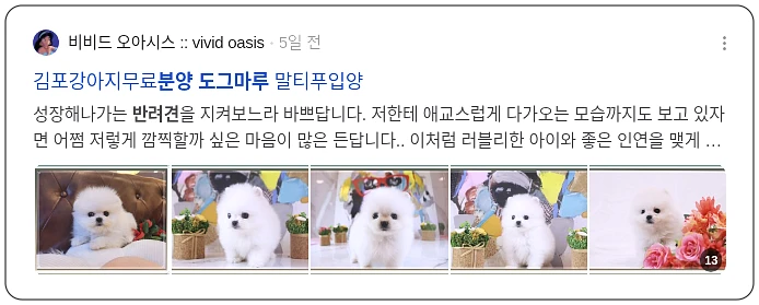 도그마루 반려견 분양_3_subsection