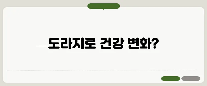 도라지 효능 기침 하나에 달라지는 건강