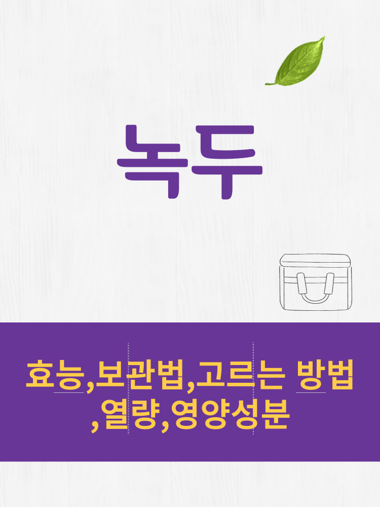  녹두 효능 및 열량과 보관법 칼로리 총정리