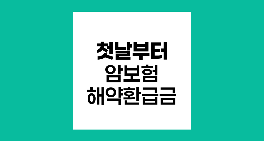 라이나생명 첫날부터 암보험 해약환급금 분석