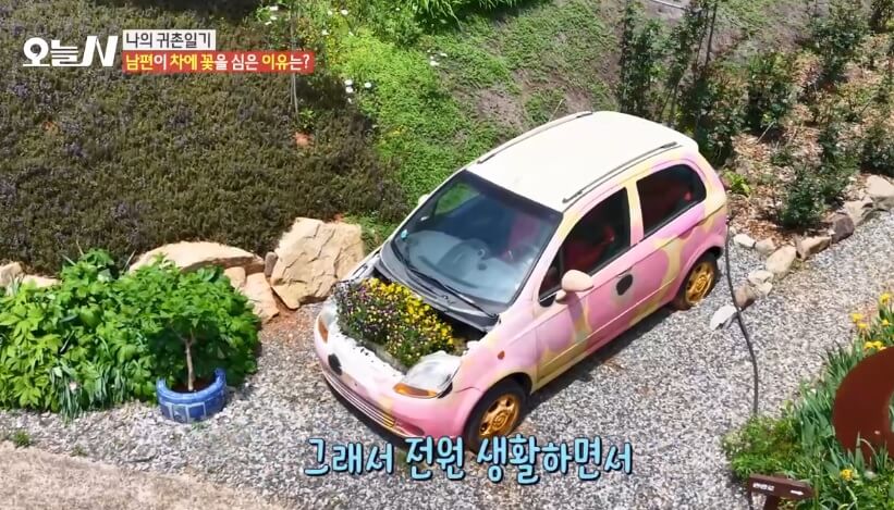 오늘N 나의 귀촌 일기 전남 담양군 대덕면 예쁜 정원 갤러리 카페 달빛여행 오늘N 2502회