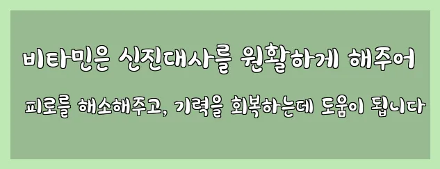  비타민은 신진대사를 원활하게 해주어 피로를 해소해주고, 기력을 회복하는데 도움이 됩니다