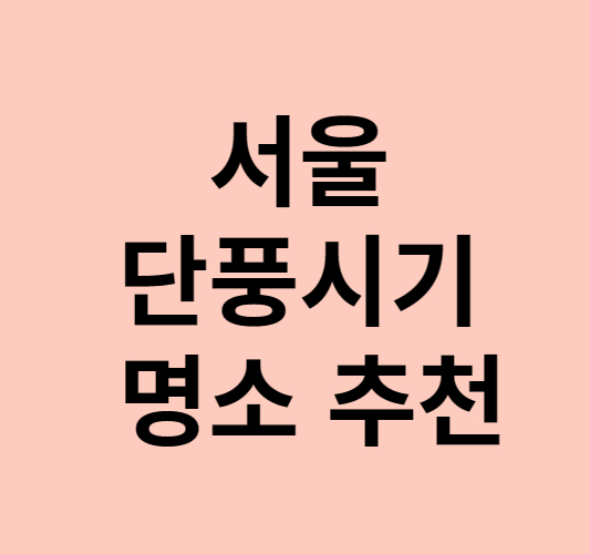 서울 단풍시기 구경 명소 추천