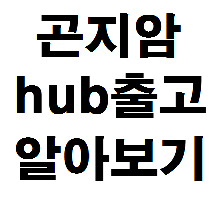  곤지암hub 출고 알아보기