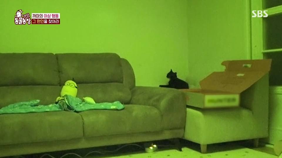 TV 동물농장.E1128.230709p.H264-F1RST.mp4_20230709_183552.116.jpg