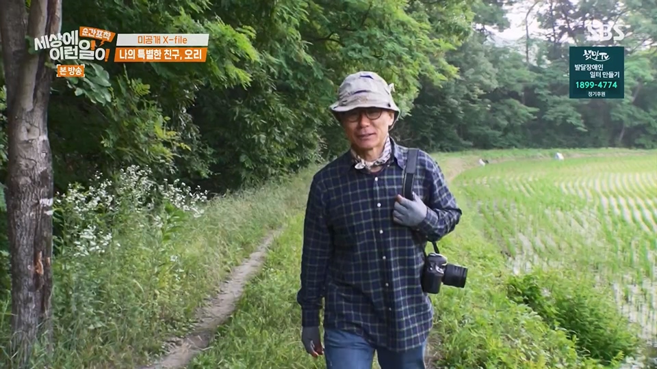 순간포착 세상에 이런일이.E1234.230624p.H264-F1RST.mp4_20230626_211159.889.jpg