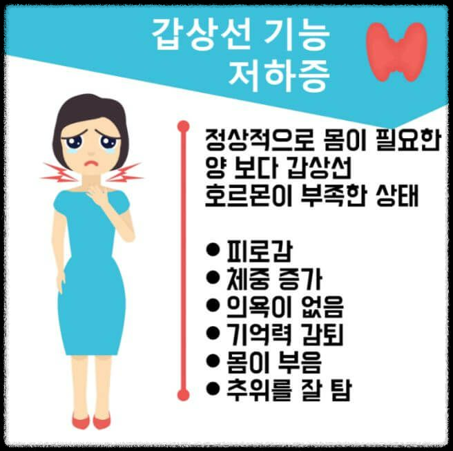 눈으로 보는 건강 신호: 갑상선저하증부터 폐암까지 안질환 증상 파헤치기