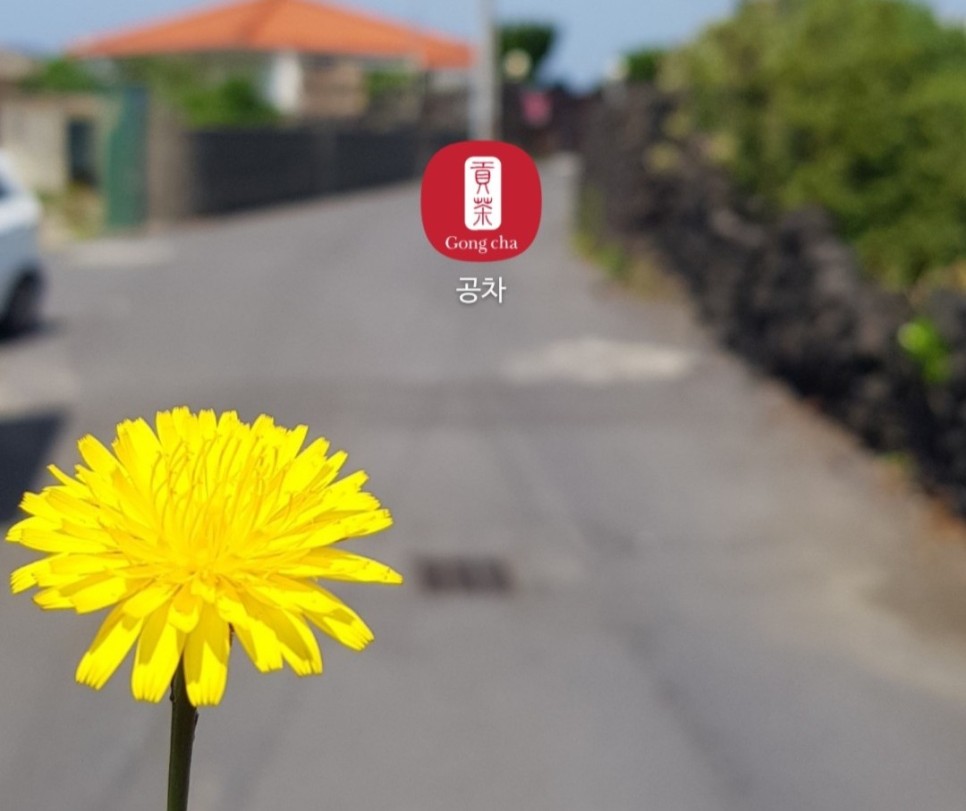 콤비네이션 1+1 내 베스트은! 7