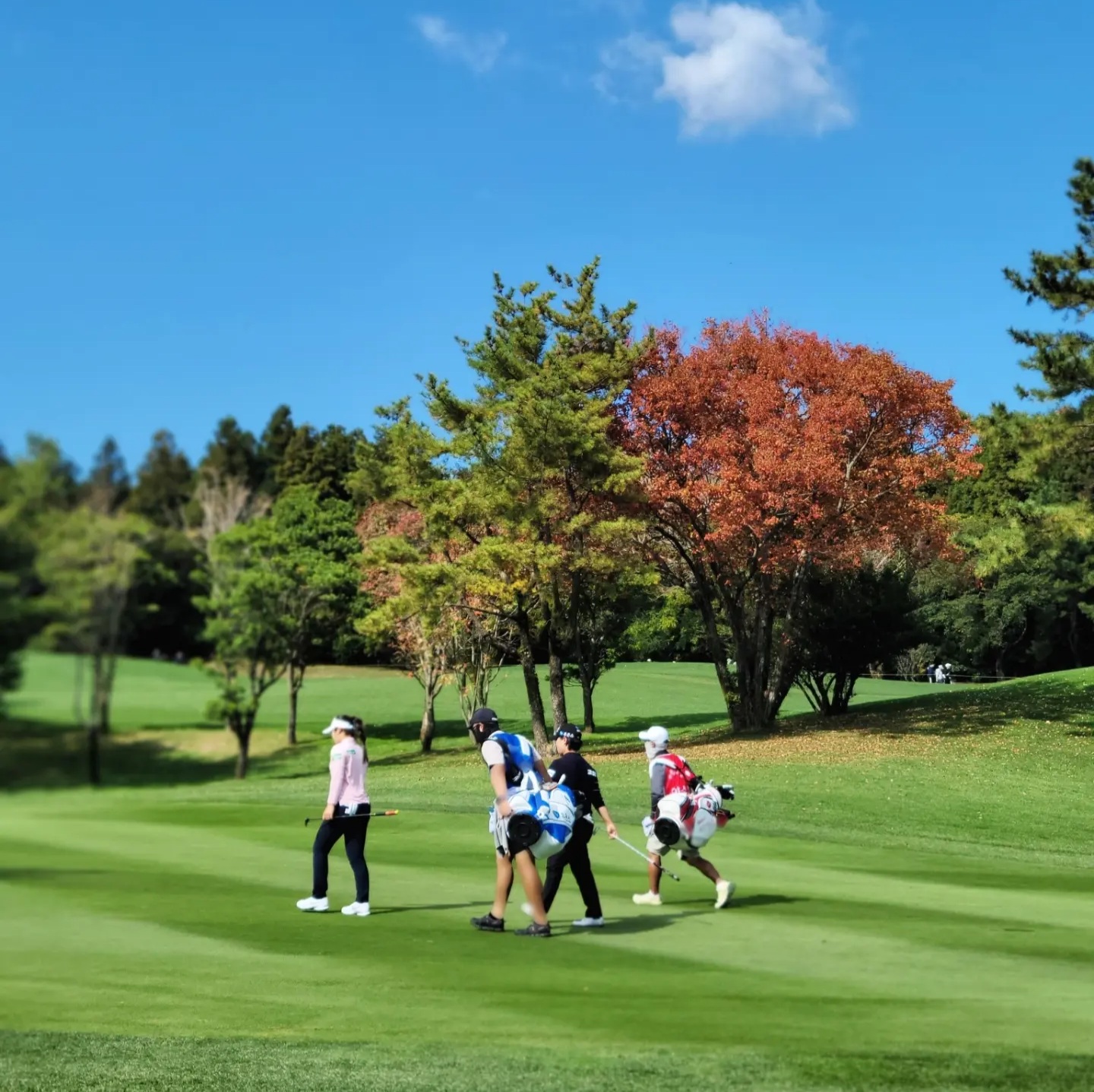 제주도 골프장 핀크스GC KLPGA 대회 SK네트웍스 S서울경제 레이디스 클래식 갤러리