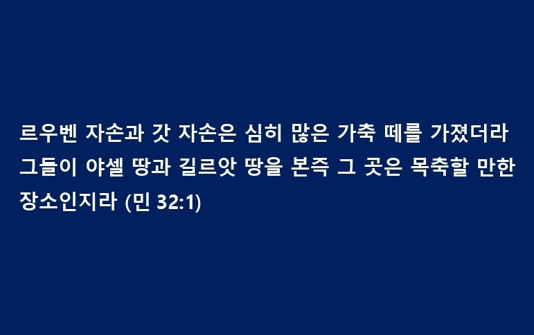 엔게디 이미지