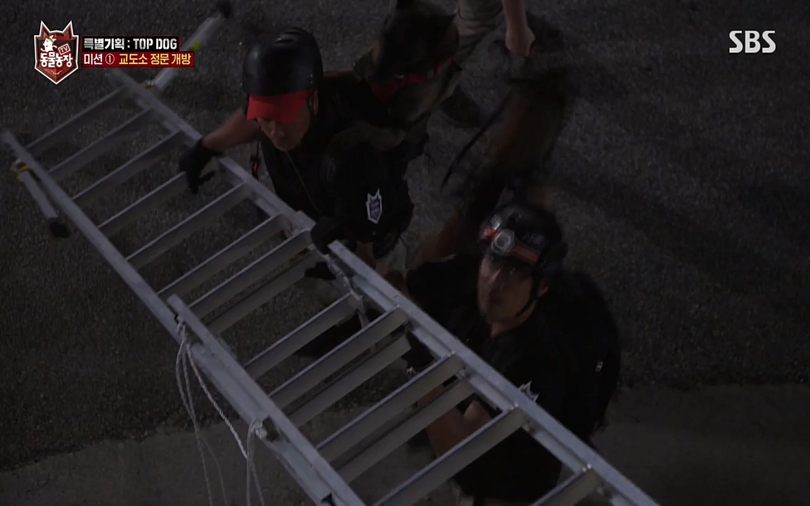 TV 동물농장.E1085.220905p-NEXT.mp4_20220904_173602.866.jpg