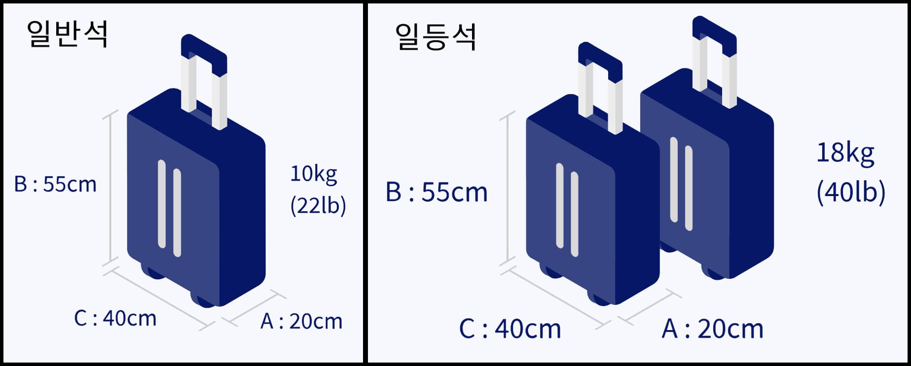 휴대수하물 규정