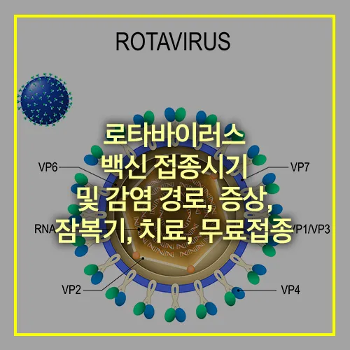 로타바이러스 백신 접종시기 감염경로 증상 무료접종