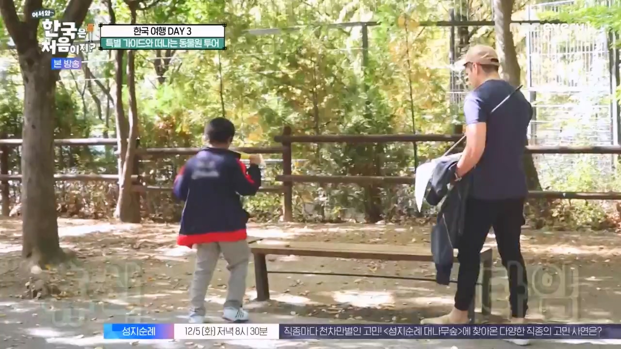 어서와 한국은 처음이지 시즌2.E291.231131p-NEXT.mp4_20231201_202427.892.jpg